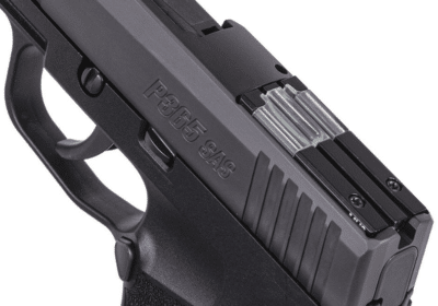 Screenshot-2024-03-25-at-12.45.42 PM